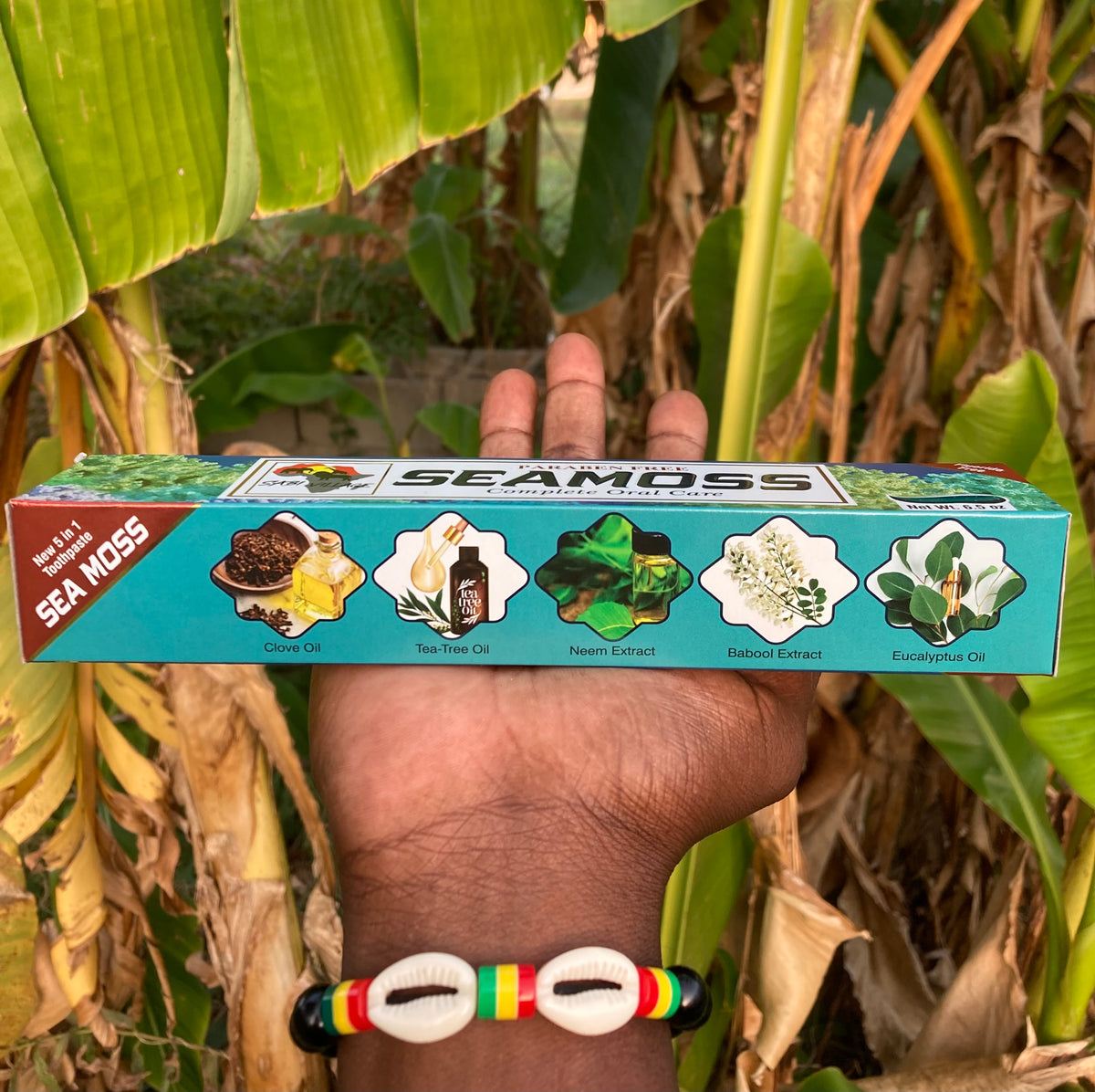 NEW Sea Moss Toothpaste! (with Eucalyptus, Clove, & Tea Tree Oil) – My ...