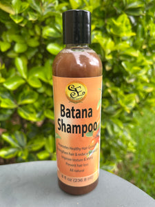 *NEW* Batana Oil Shampoo!!
