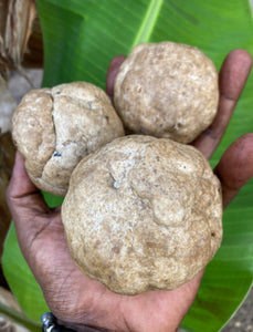 🌴🍌Raw Ghanaian Plantain Leaf Soap! (Mixed with Cocoa 🍫 Pod)🍌🌴🇬🇭